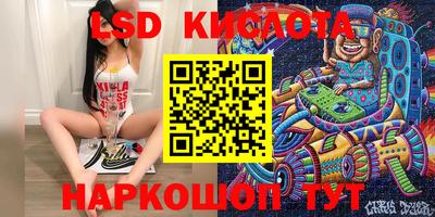 ГАЛЛЮЦИНОГЕННЫЕ ГРИБЫ Кандалакша