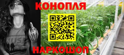 ГАЛЛЮЦИНОГЕННЫЕ ГРИБЫ Кандалакша