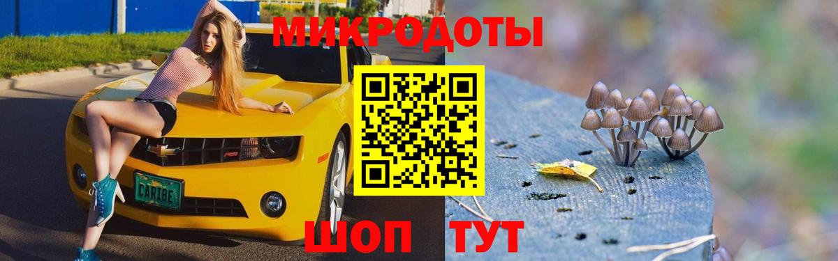 Псилоцибиновые грибы MAGIC MUSHROOMS  Вход с VPN  Курган 